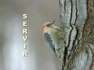 s e r v i r