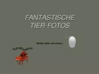 fantastische tier fotos weiter bitte mit einem