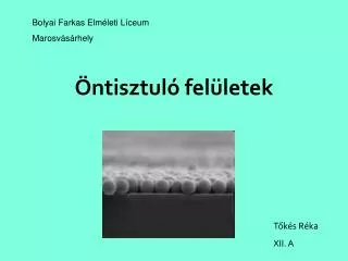ntiszt ul fel letek