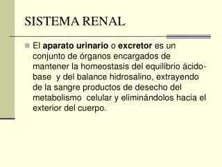 sistema renal