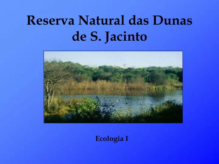 reserva natural das dunas de s jacinto