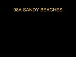 08A SANDY BEACHES