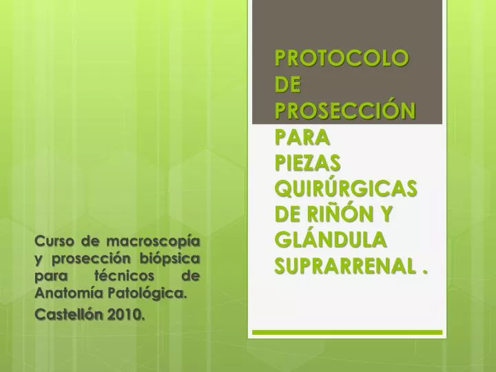 curso de macroscop a y prosecci n bi psica para t cnicos de anatom a patol gica castell n 2010