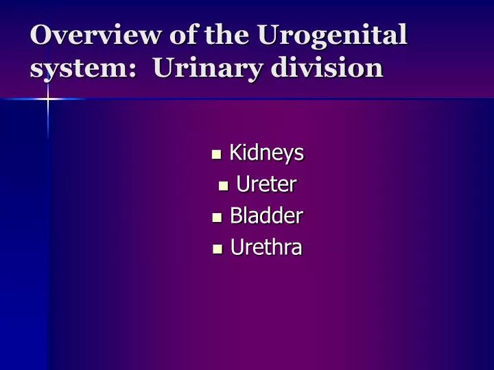 overview of the urogenital system urinary division