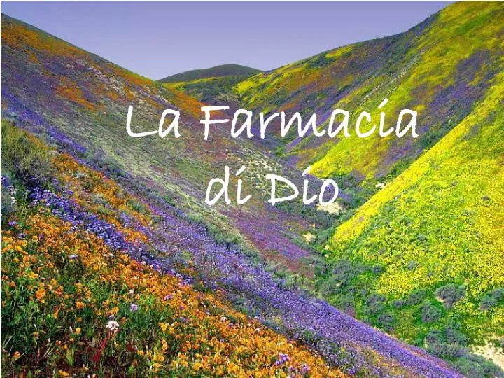 la farmacia di dio