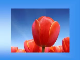 immersi nel blu