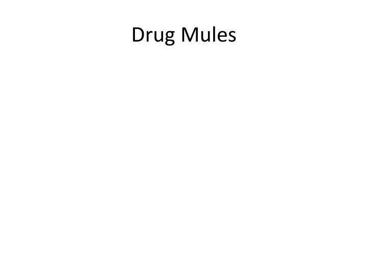 drug mules