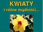 KWIATY i różne mądrości… - slide 1