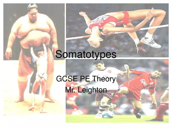 somatotypes