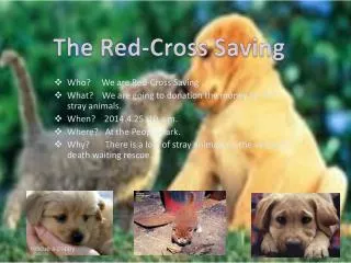 Who? We are Red-Cross Saving .