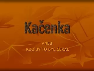 aneb kdo by to byl ekal