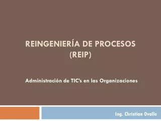 reingenier a de procesos reip
