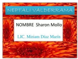 nombre sharon mollo