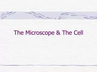 The Microscope &amp; The Cell