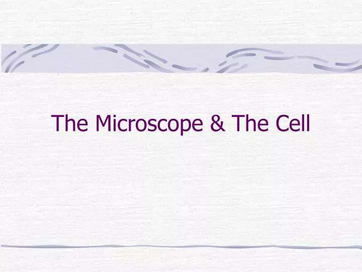 the microscope the cell