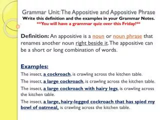 Identify the appositive or appositive phrase in the sentences below.