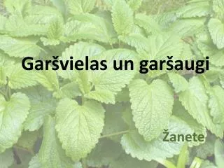 gar vielas un gar augi