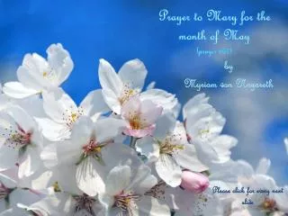 Prayer to Mary for the month of May ( prayer 667)