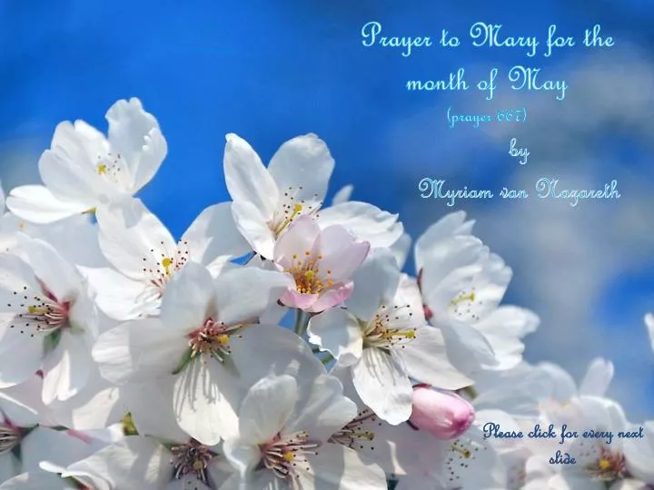 prayer to mary for the month of may prayer 667