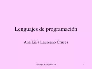 lenguajes de programaci n