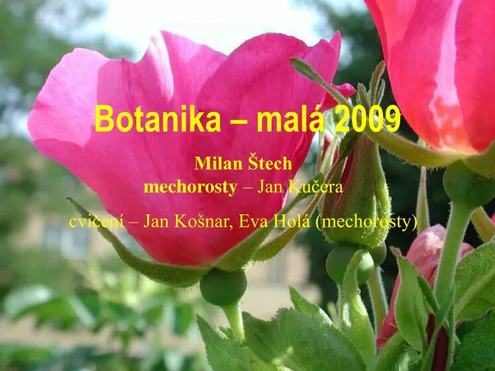 botanika mal 2009