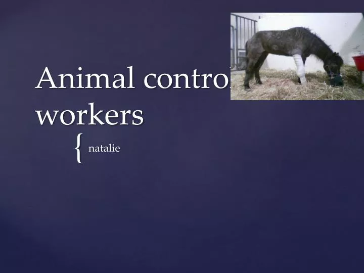 animal control workers