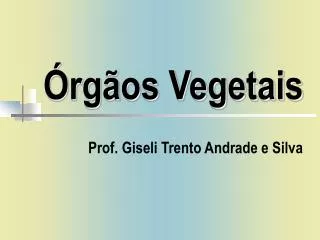 rg os vegetais