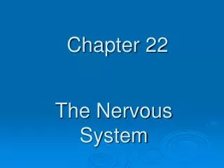 The Nervous System