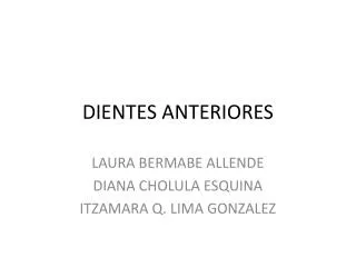 dientes anteriores