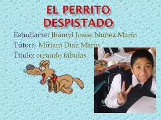 el perrito despistado