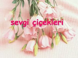 sevgi i ekleri