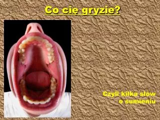 co ci gryzie