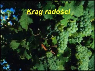kr g rado ci