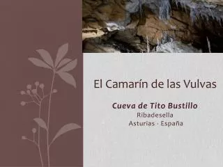 el camar n de las vulvas