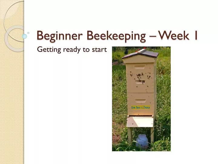 beginner beekeeping week 1