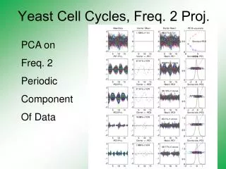 Yeast Cell Cycles, Freq. 2 Proj.