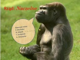 rz d naczelne
