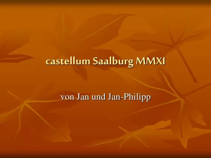 castellum saalburg mmxi