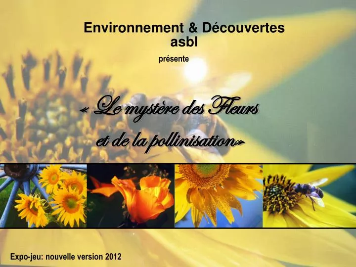 le myst re des fleurs et de la pollinisation