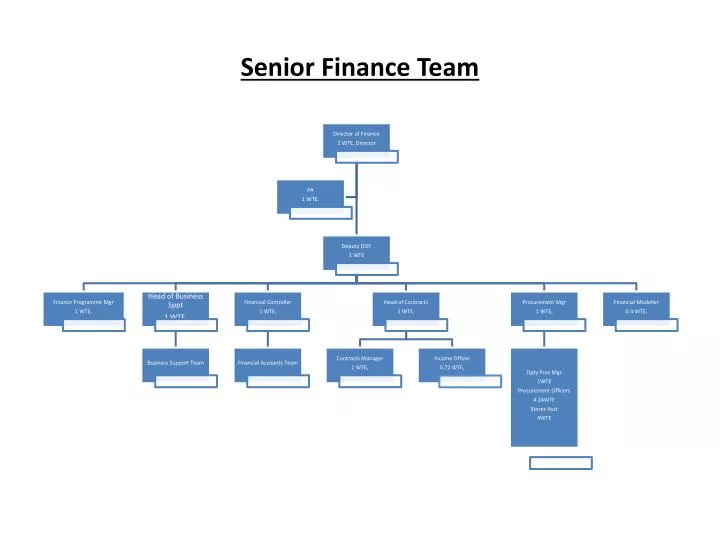 senior finance team