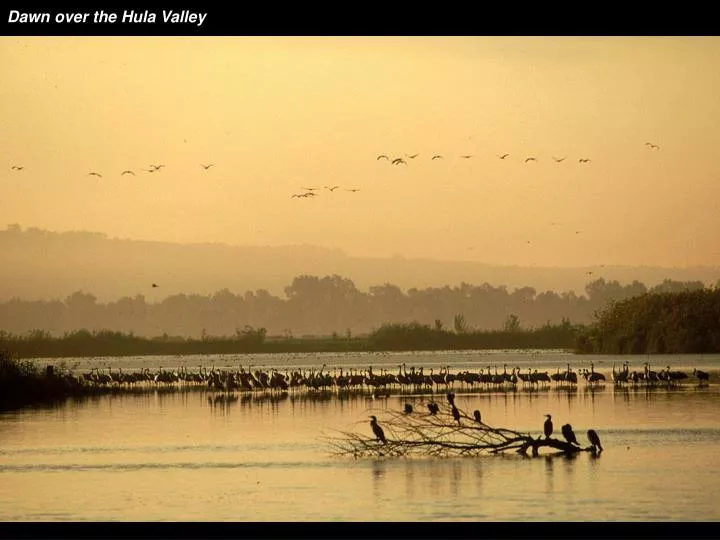 dawn over the hula valley