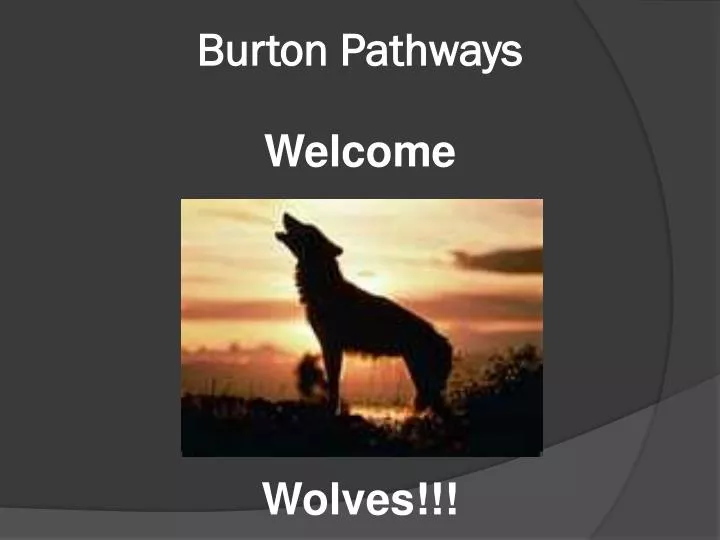 burton pathways
