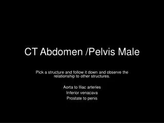 CT Abdomen /Pelvis Male