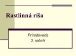 Rastlinná ríša - slide 1