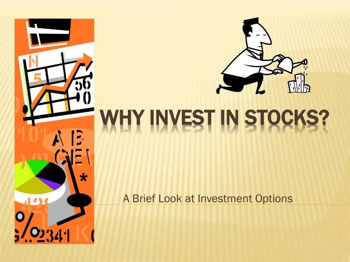 a brief look at investment options