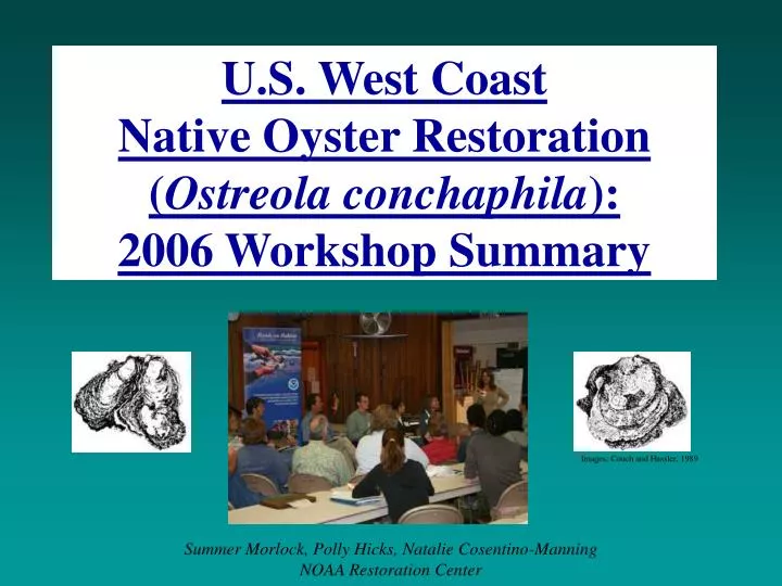 u s west coast native oyster restoration ostreola conchaphila 2006 workshop summary