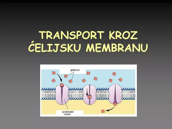 transport kroz elijsku membranu