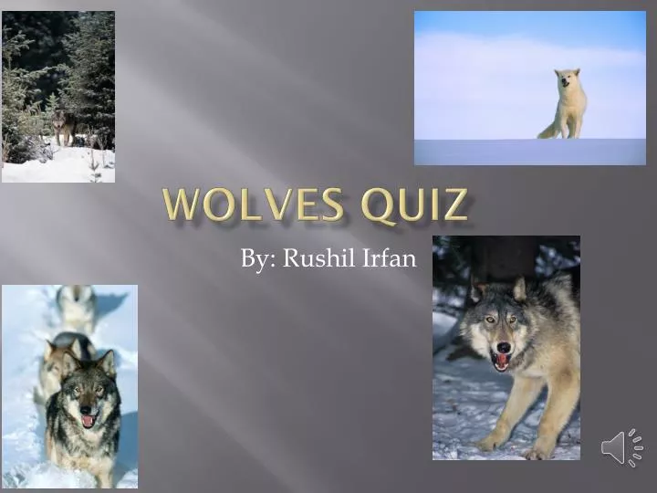 wolves quiz