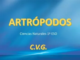 artr podos