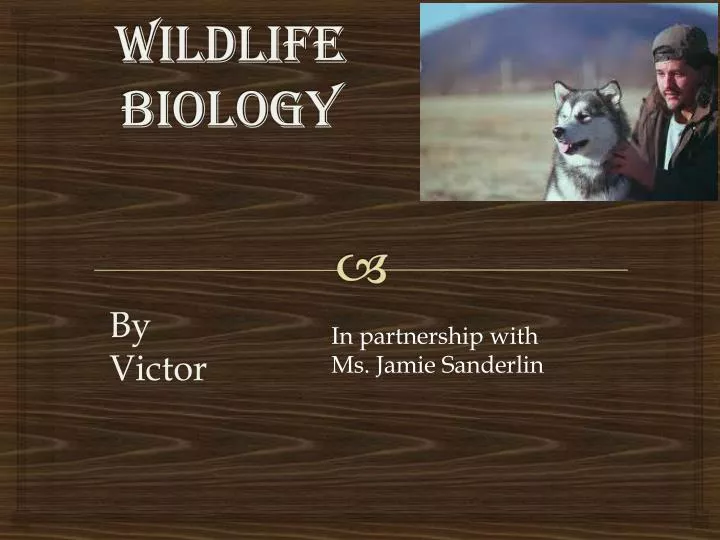 wildlife biology